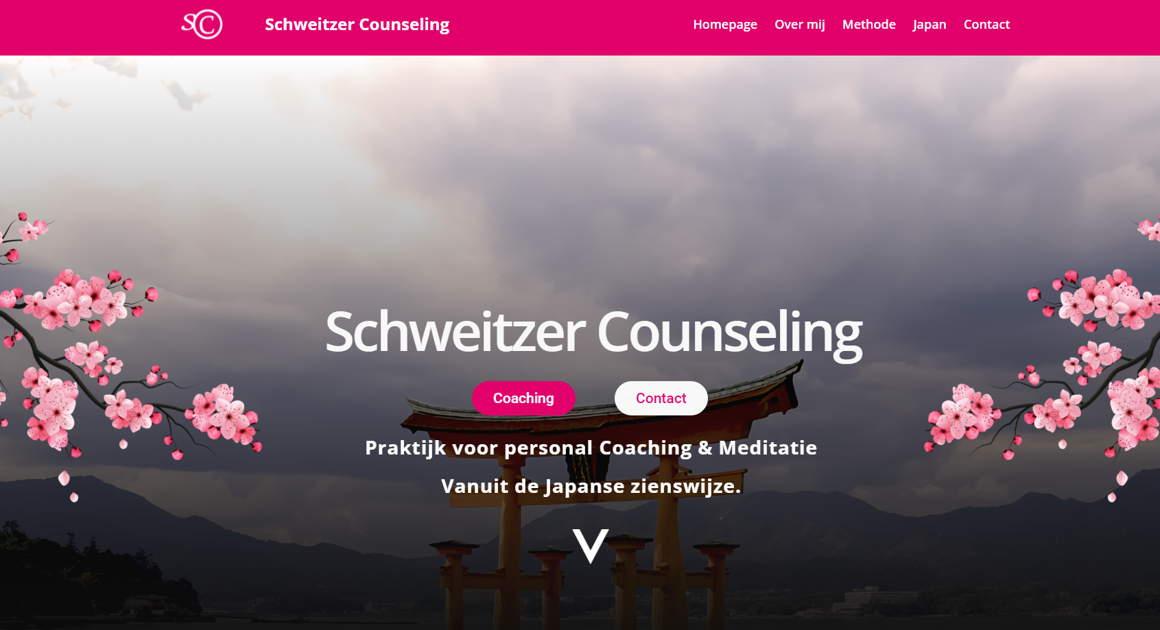 Schweitzer Counseling